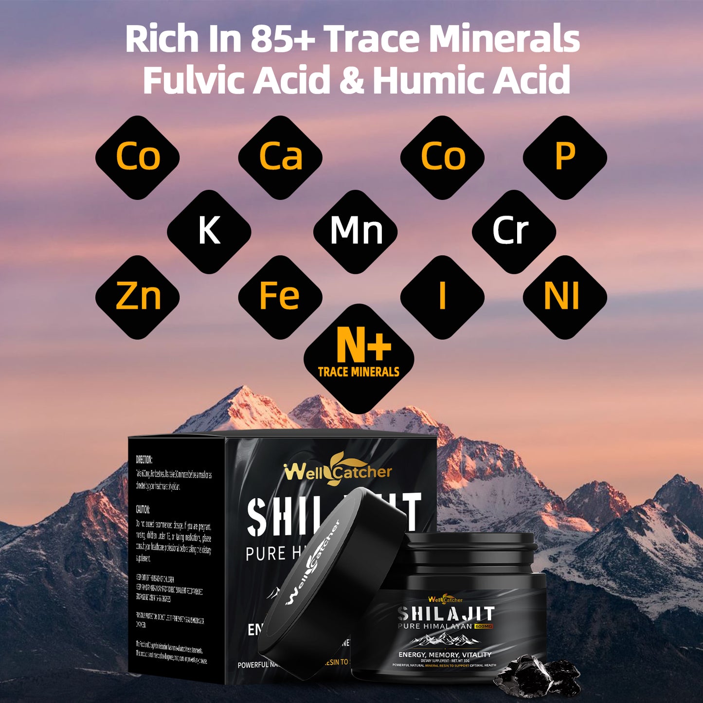 🌿 WELLCATCHER Shilajit Resin | Natural Energy from the Himalayas for Mind-Body Vitality