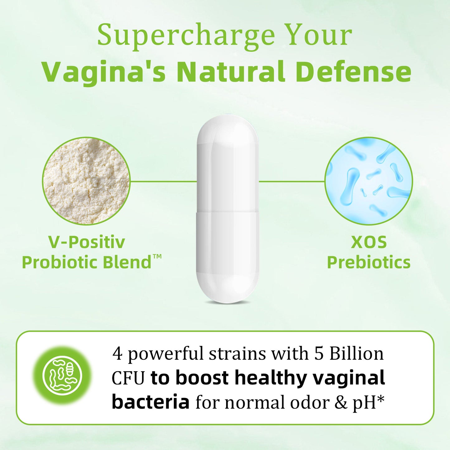 WellCatcher Probiotic Capsules – 5 Billion CFUs for Gut & Vaginal Health | 90 Capsules