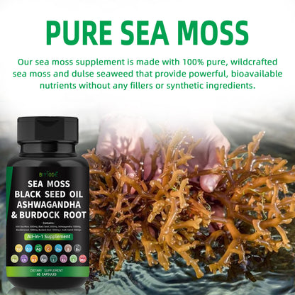 🌿 BIYODE Sea Moss, Black Seed Oil, Ashwagandha & Burdock Root Capsules | All-in-One Natural Plant-Based Energy