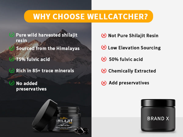 🌿 WELLCATCHER Shilajit Resin | Natural Energy from the Himalayas for Mind-Body Vitality