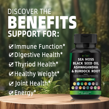 🌿 BIYODE Sea Moss, Black Seed Oil, Ashwagandha & Burdock Root Capsules | All-in-One Natural Plant-Based Energy