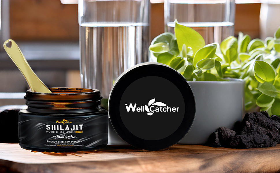 🌿 WELLCATCHER Shilajit Resin | Natural Energy from the Himalayas for Mind-Body Vitality